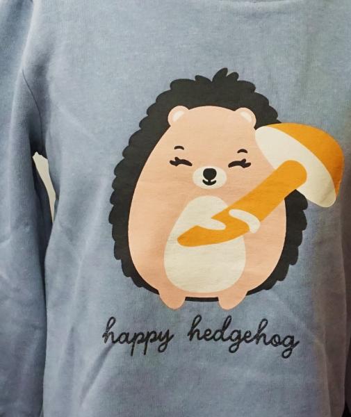 Sweatshirt Gr. 116 von Topolino (3872)